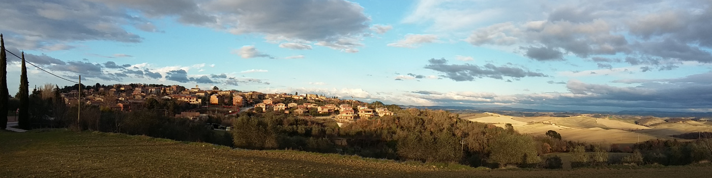 immagine intestazione