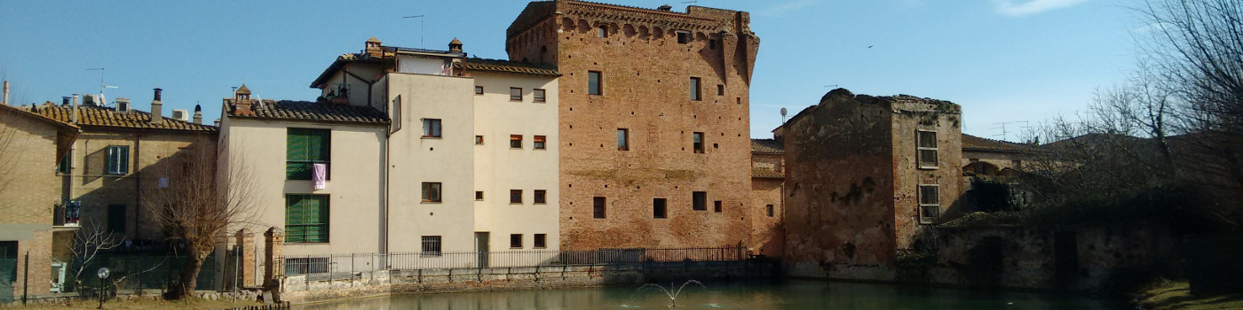 immagine intestazione